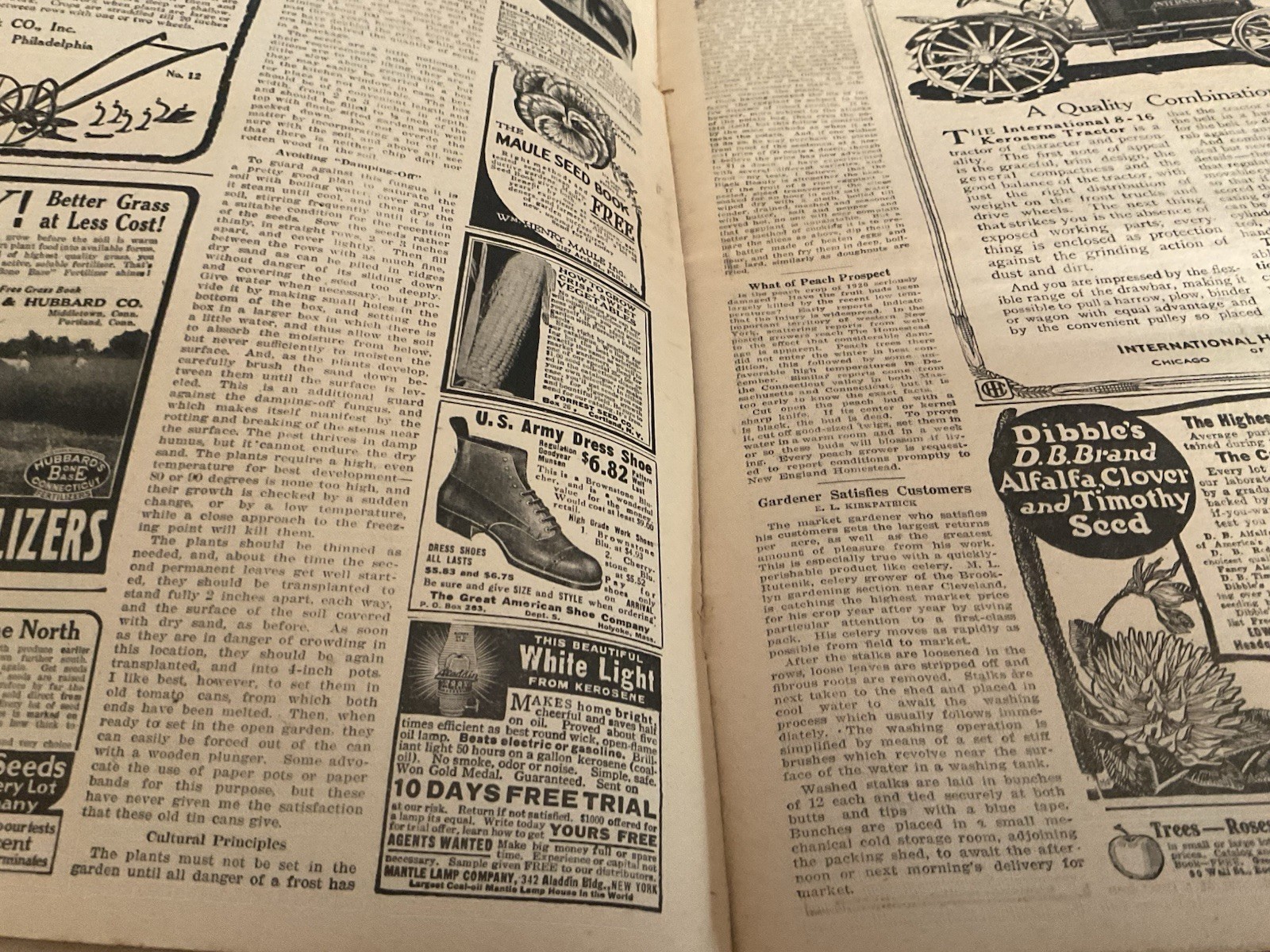 1920 New England Homestead Newspaper Breeding Cow Chart Milk Fairies Ads