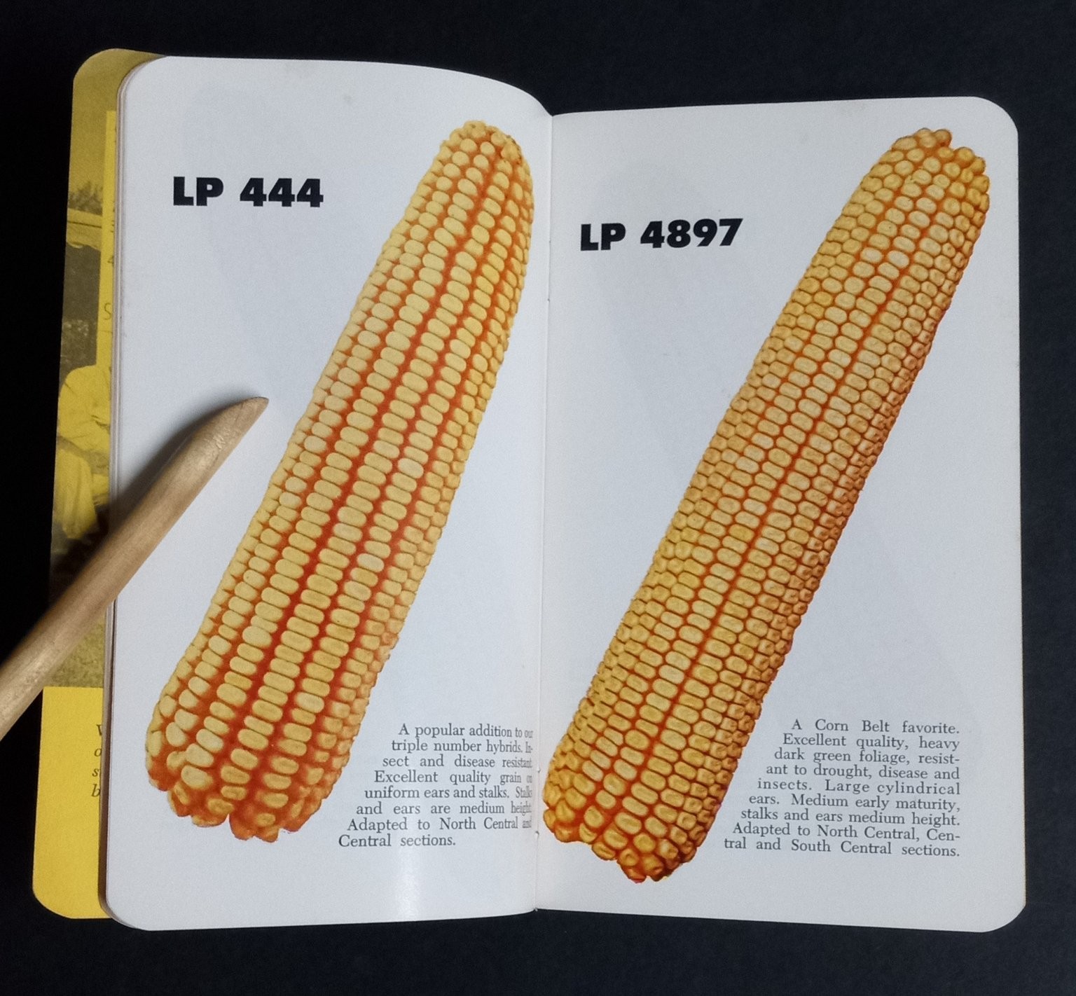 Pfister Hybrid Corn 1957-58 Dealer Booklet Agriculture Mont City MO Farm Seed