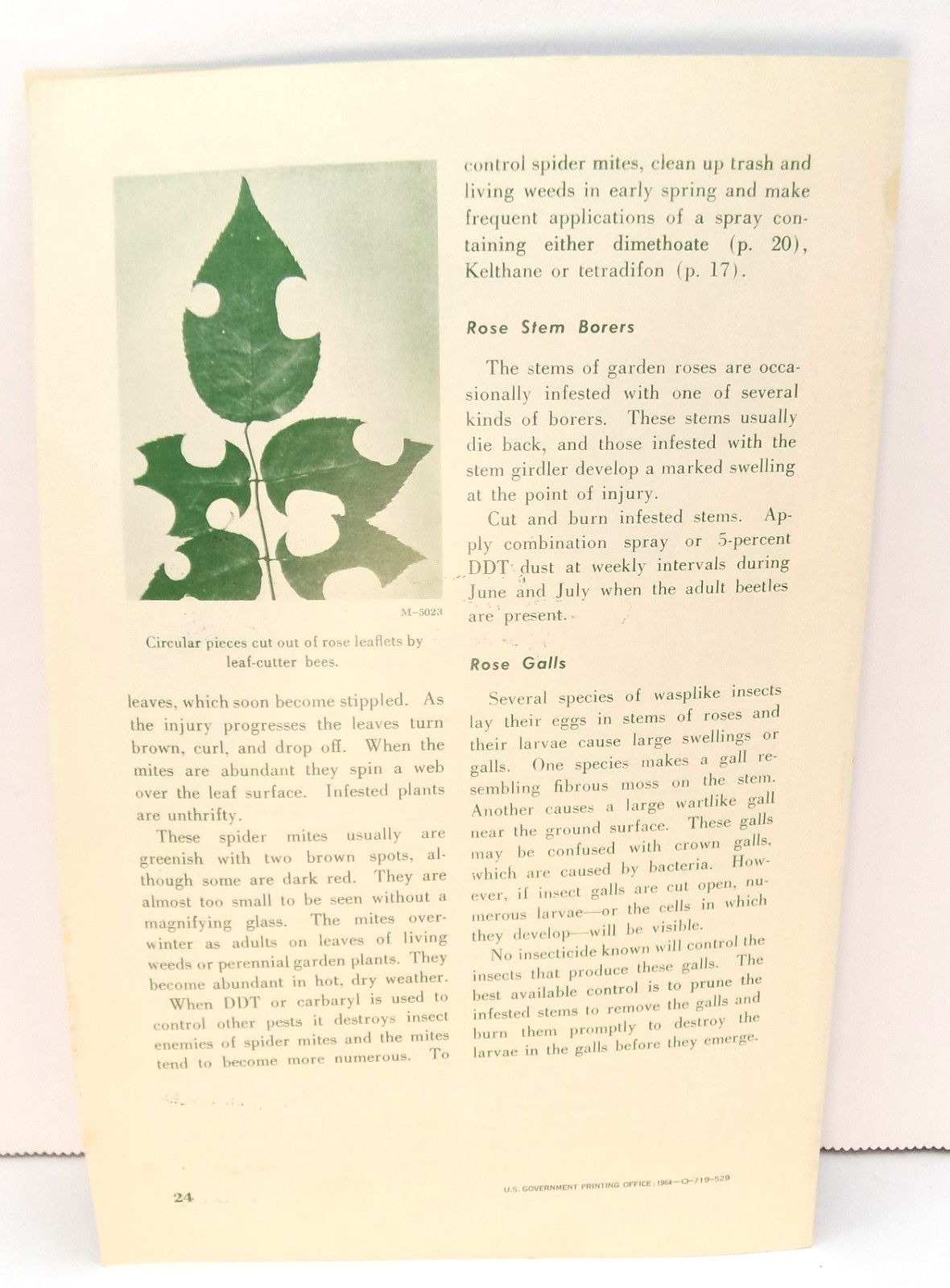 Vntg Roses For the Home US Dept Ag Home & Garden Bulletin No 25 Buckworth 1964