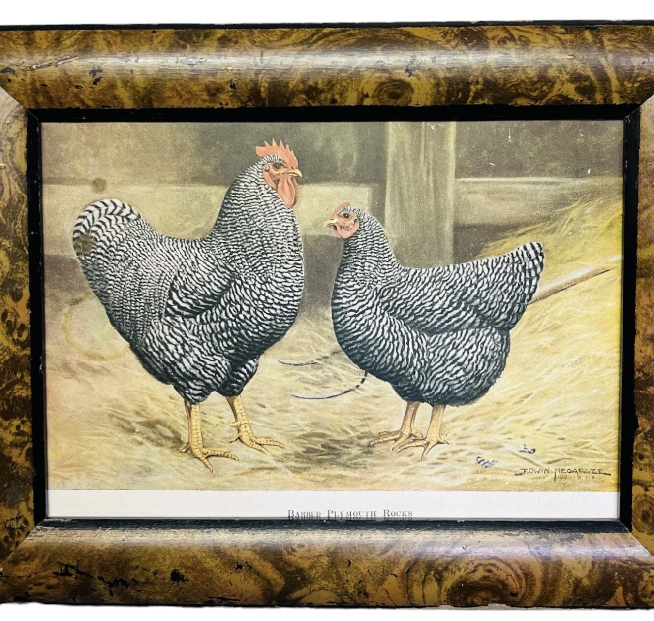Vintage Barred Plymouth Rocks Framed Poultry Print Edwin Megargee No Glass As Is
