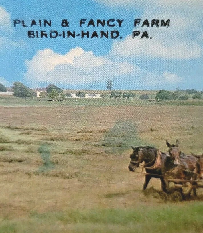 Farm Bird In Hand, PA Horses Collector Tin Tray vtg Farmhouse Plain & Fancy