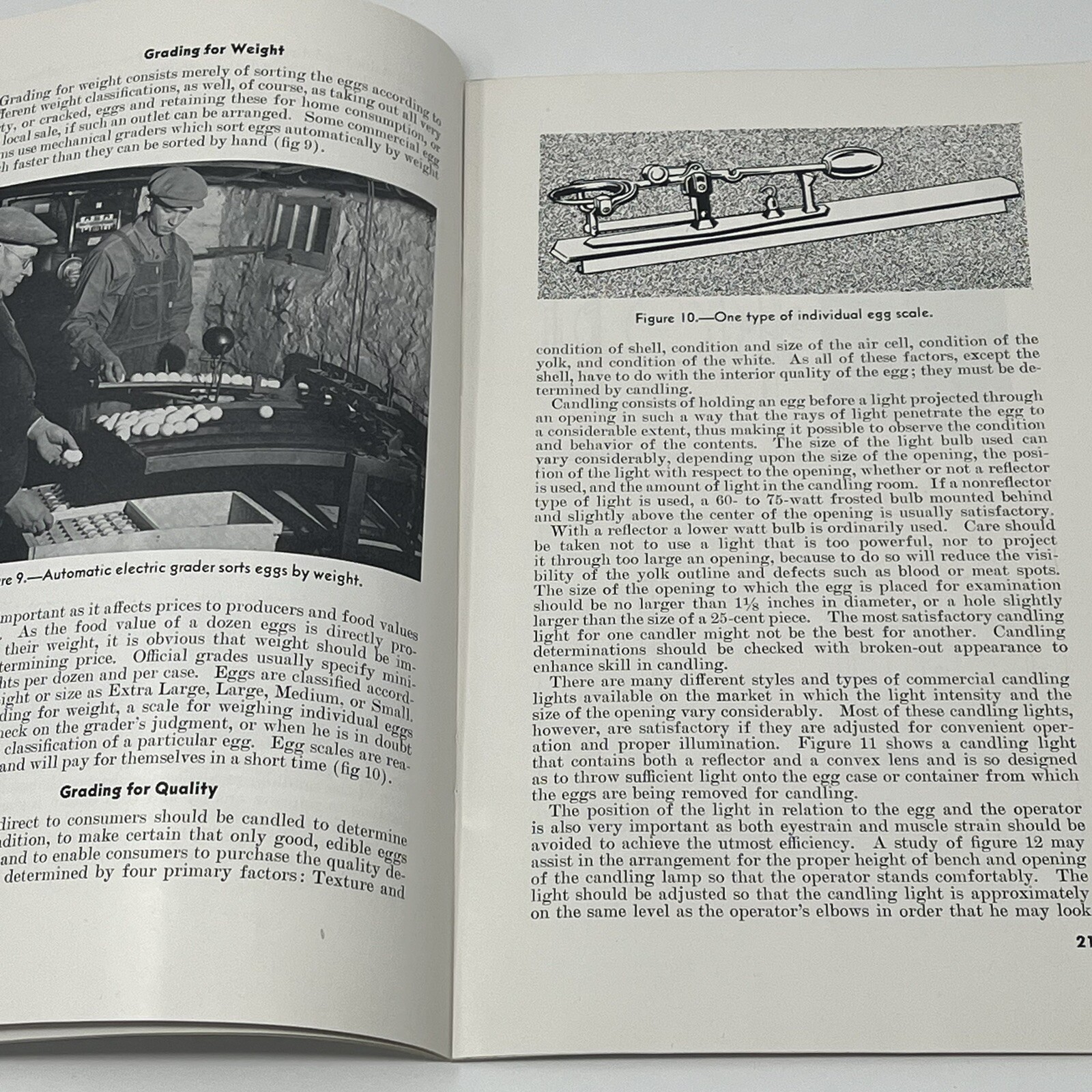 1954 Dept Of Agriculture Marketing Eggs Farmers Bulletin 1378 Booklet Brochure