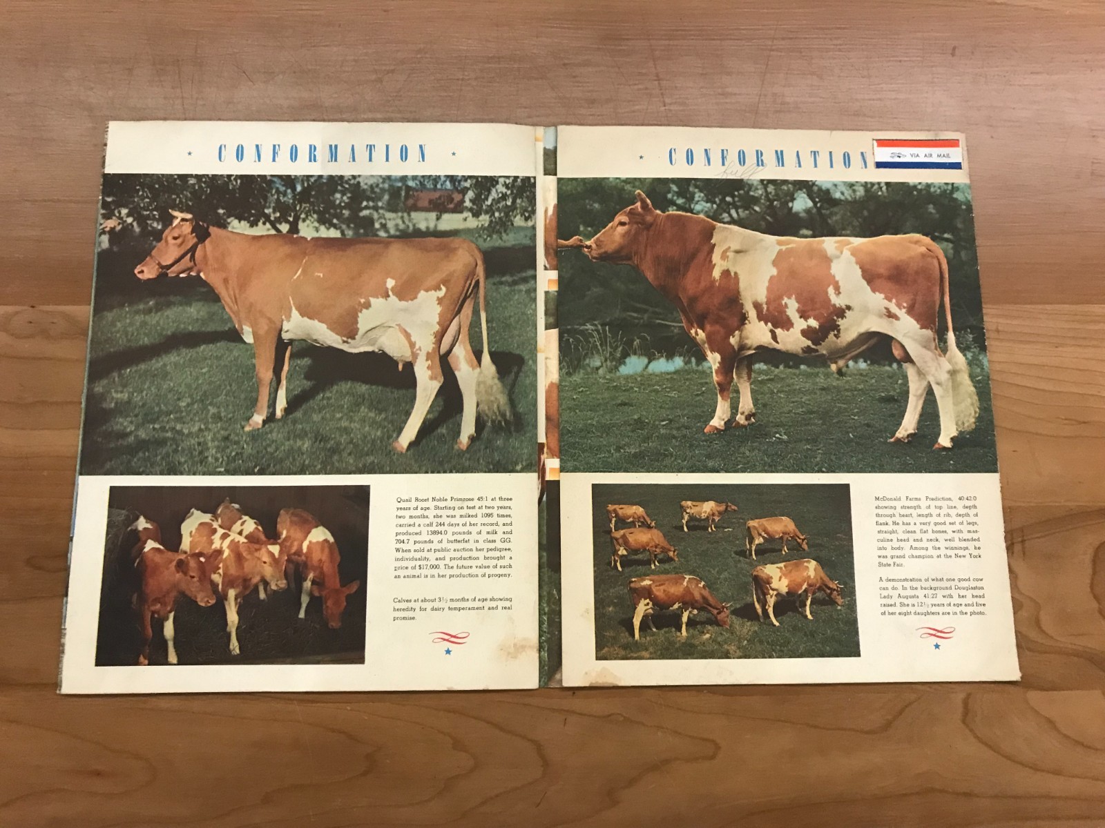 Vintage Guernsey – Creating a Standard of Excellence Brochure