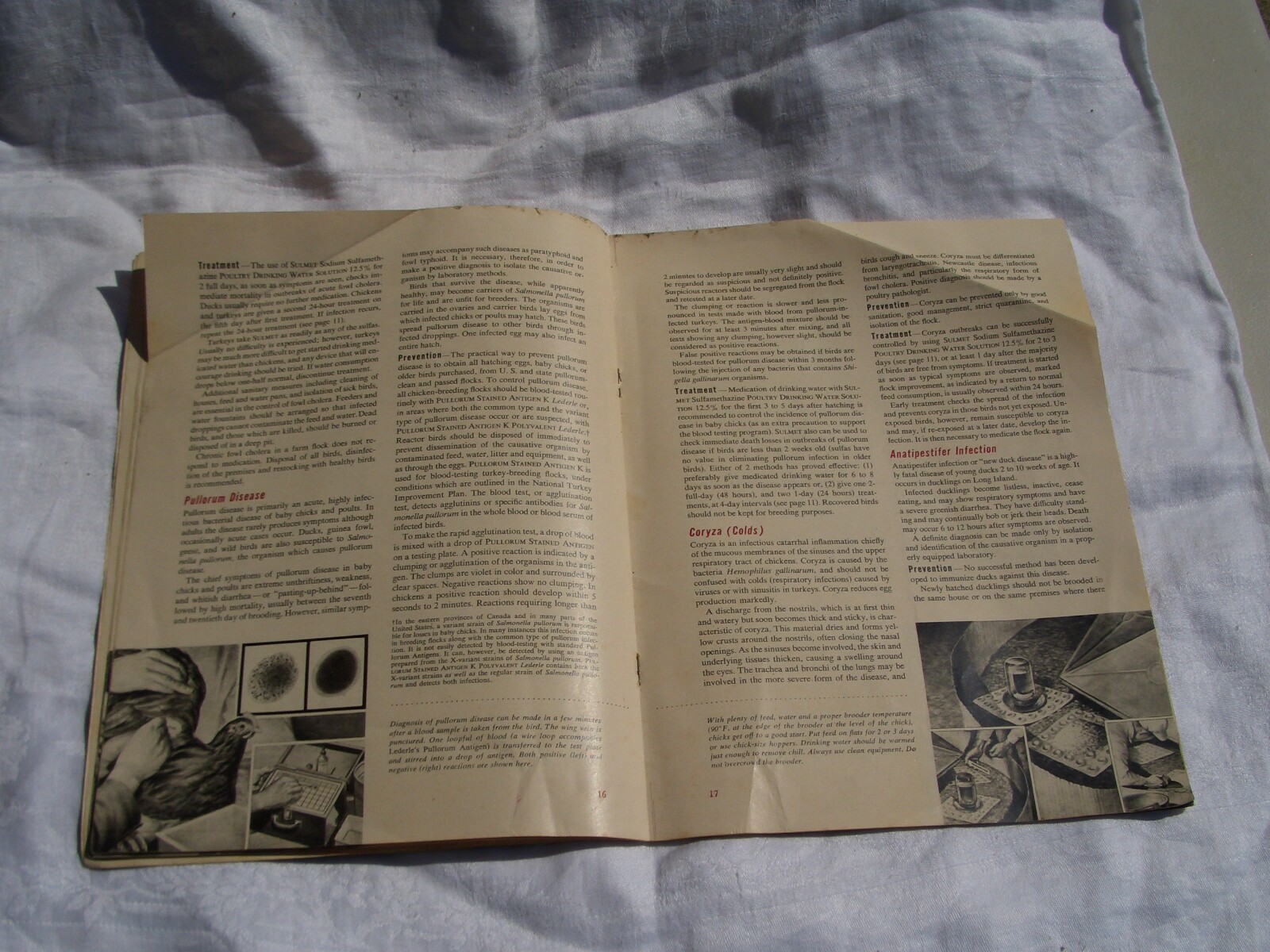 1951 Control of Poultry Diseases *Lederle Lab Chicken Treatment *Ships Free 2 US