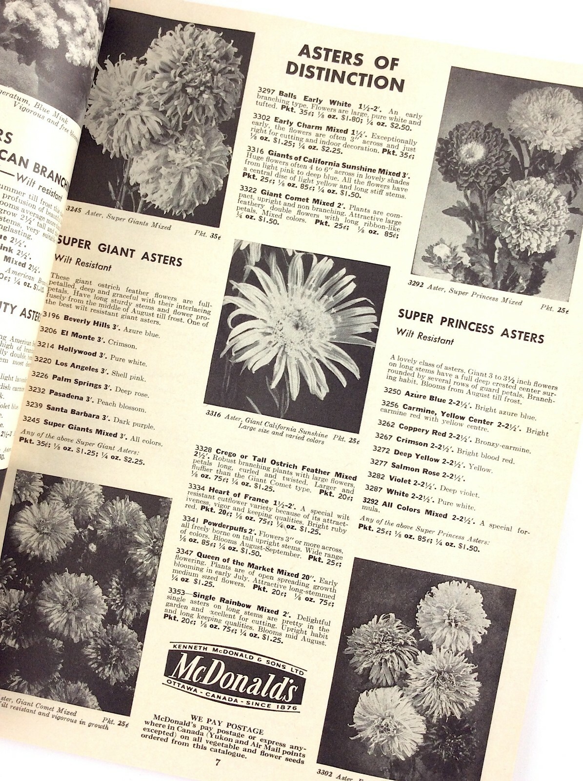 Garden Catalogue 1962 Mcdonalds Flowers Plants Booklet Catalog L324