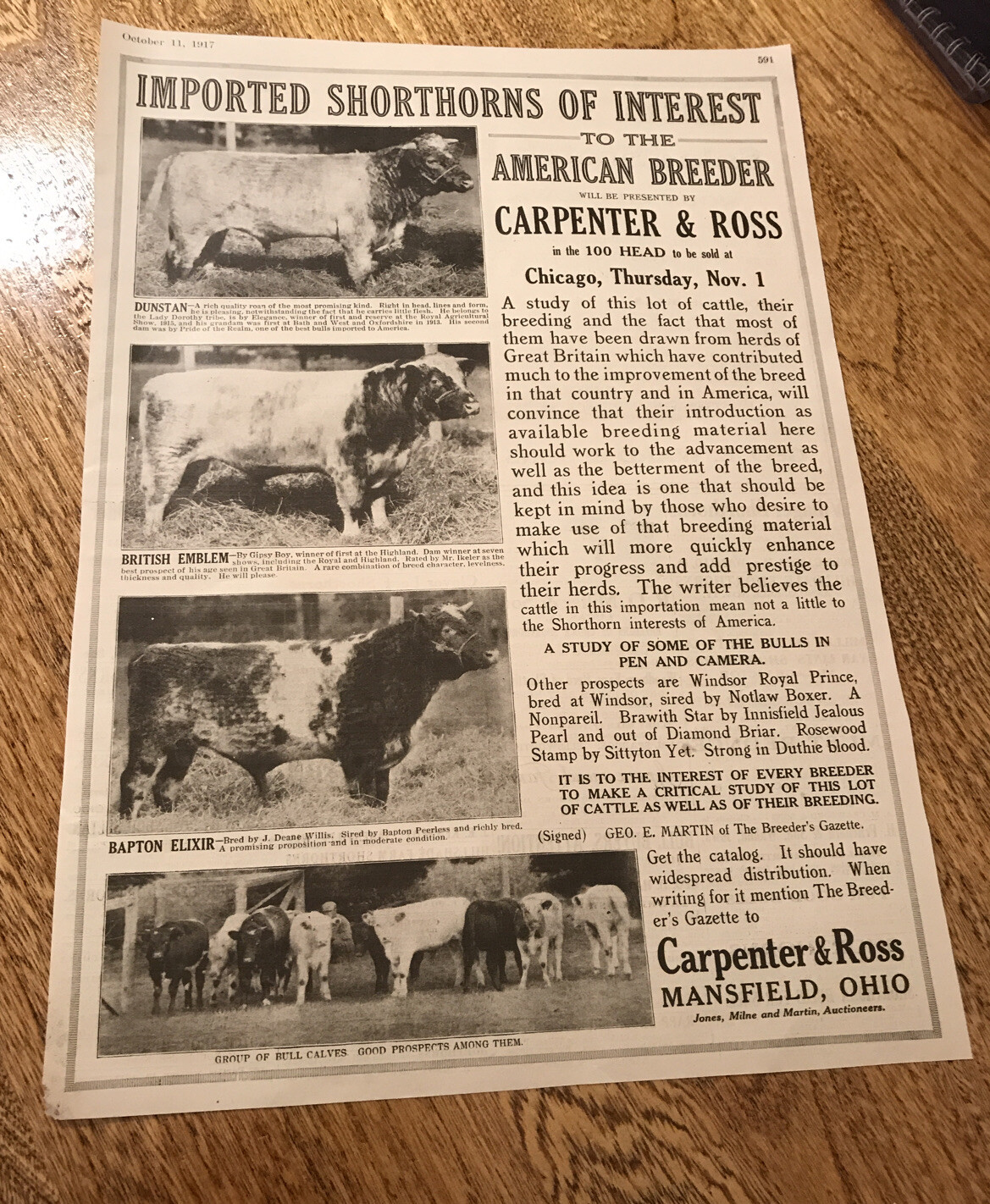 1917 Cattle Livestock Public Sale Poster – Mansfield – Ohio – Cow Advertising
