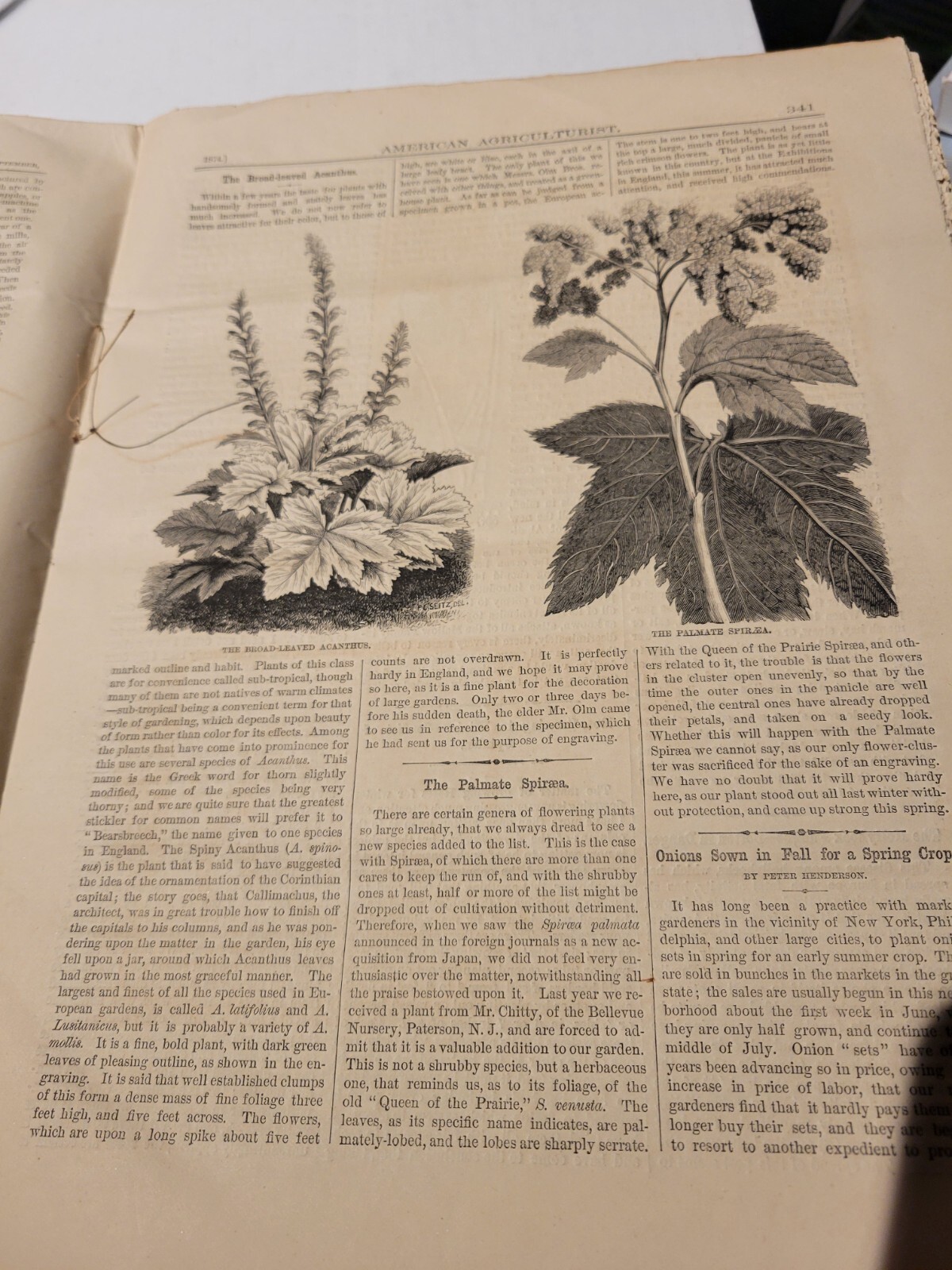 September 1874 American Agriculturist Farm Garden Household Print