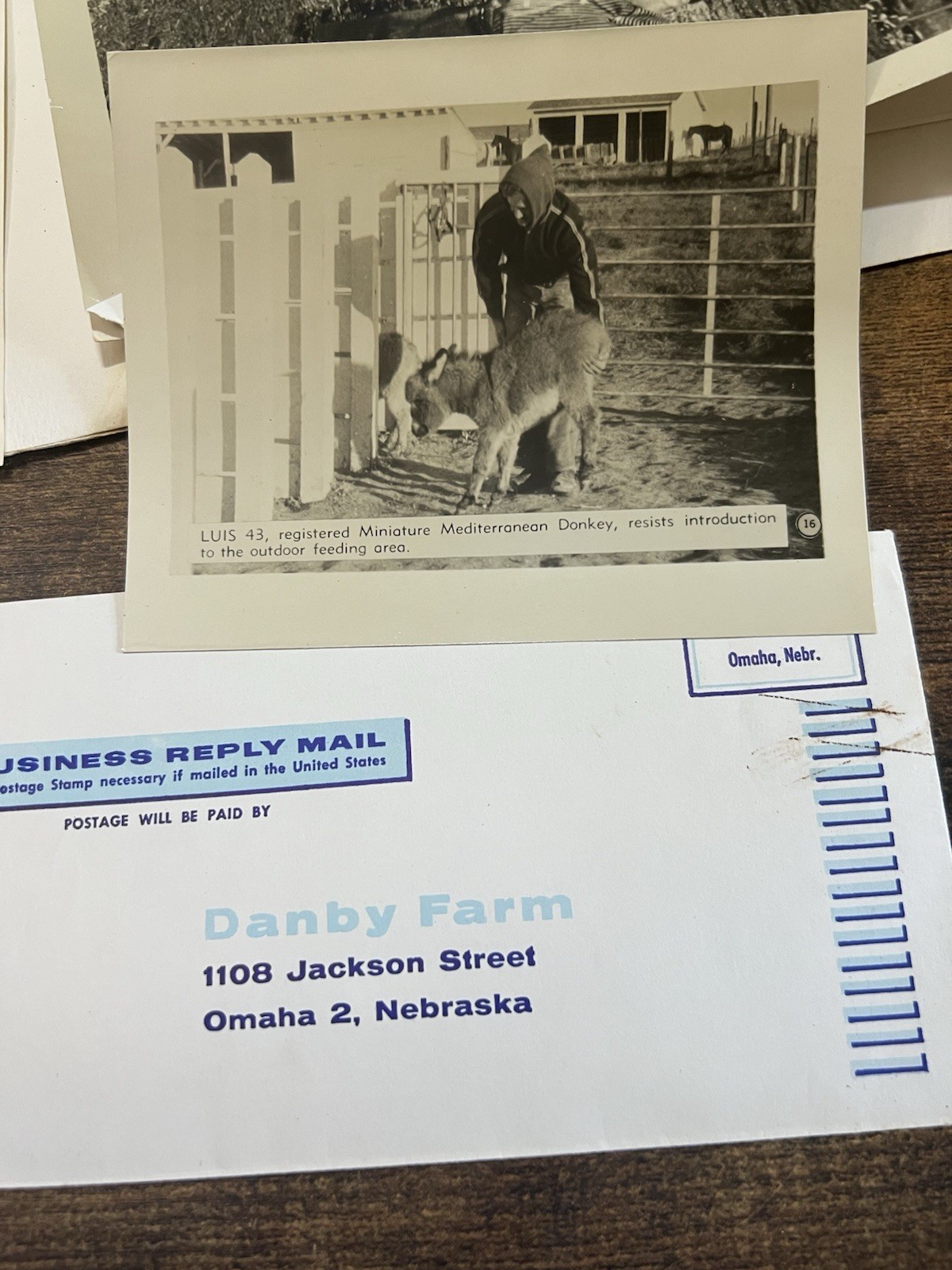 1961 Danby Farm Miniature Donkey Brochure Photo Letter Ephemera Lot