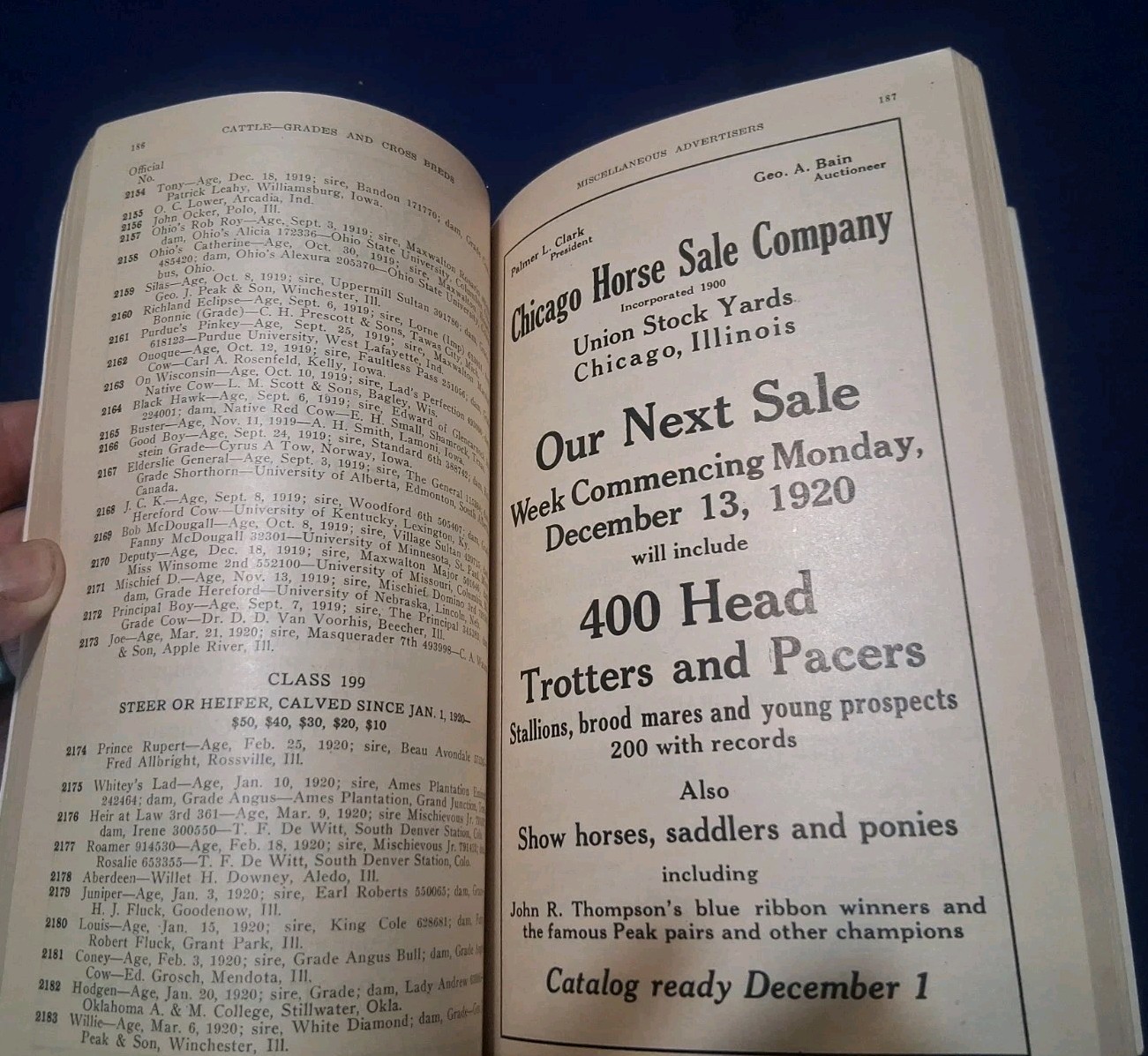 1920 International Livestock Exposition Catalog Book Chicago Union Stock Yards