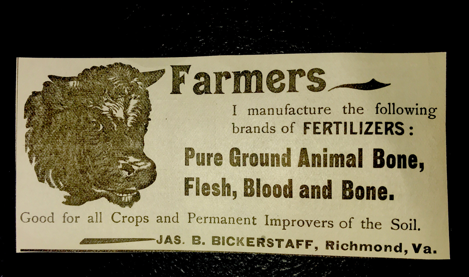1900 Cow Farm Fertilizer Advertising – Richmond – Virginia