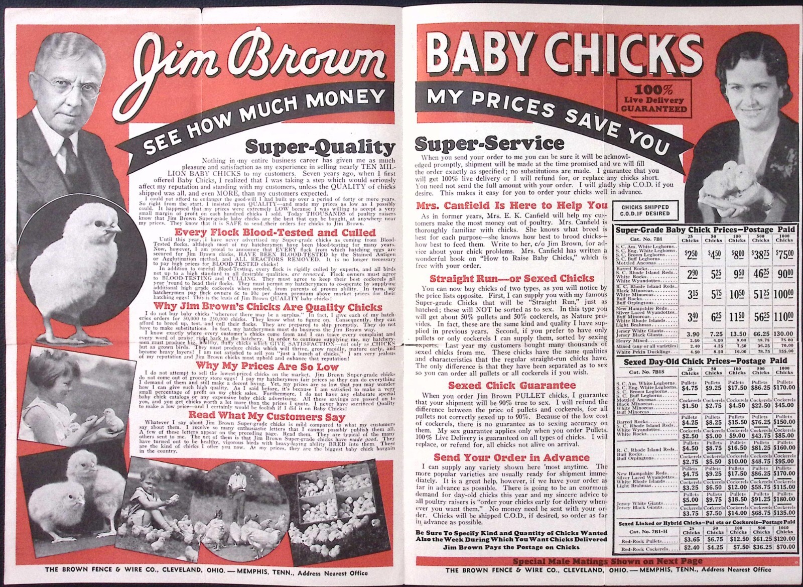 c1930s Brown Fence & Wire Co Jim Brown Pay Streak Baby Chicks Print Ad