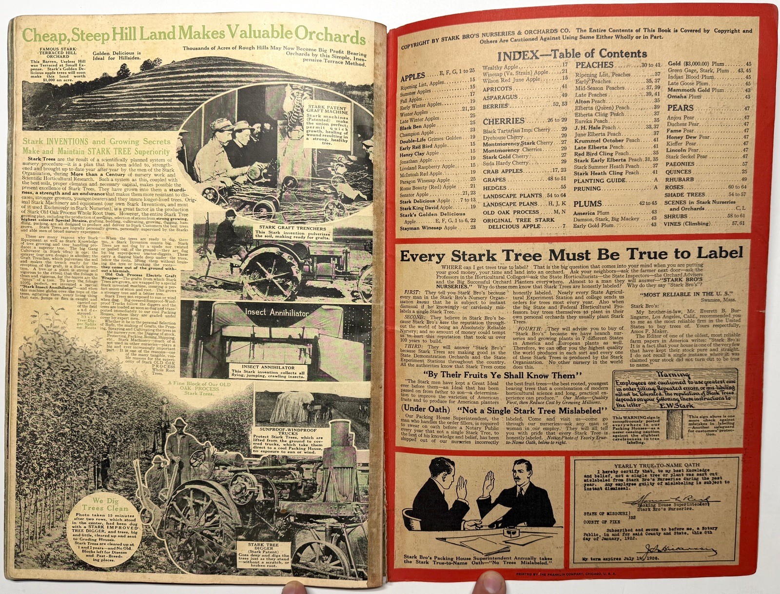 1922 STARK BROS 20TH CENTURY FRUITS NURSERY CATALOG GOLDEN DELICIOUS APPLE PEACH