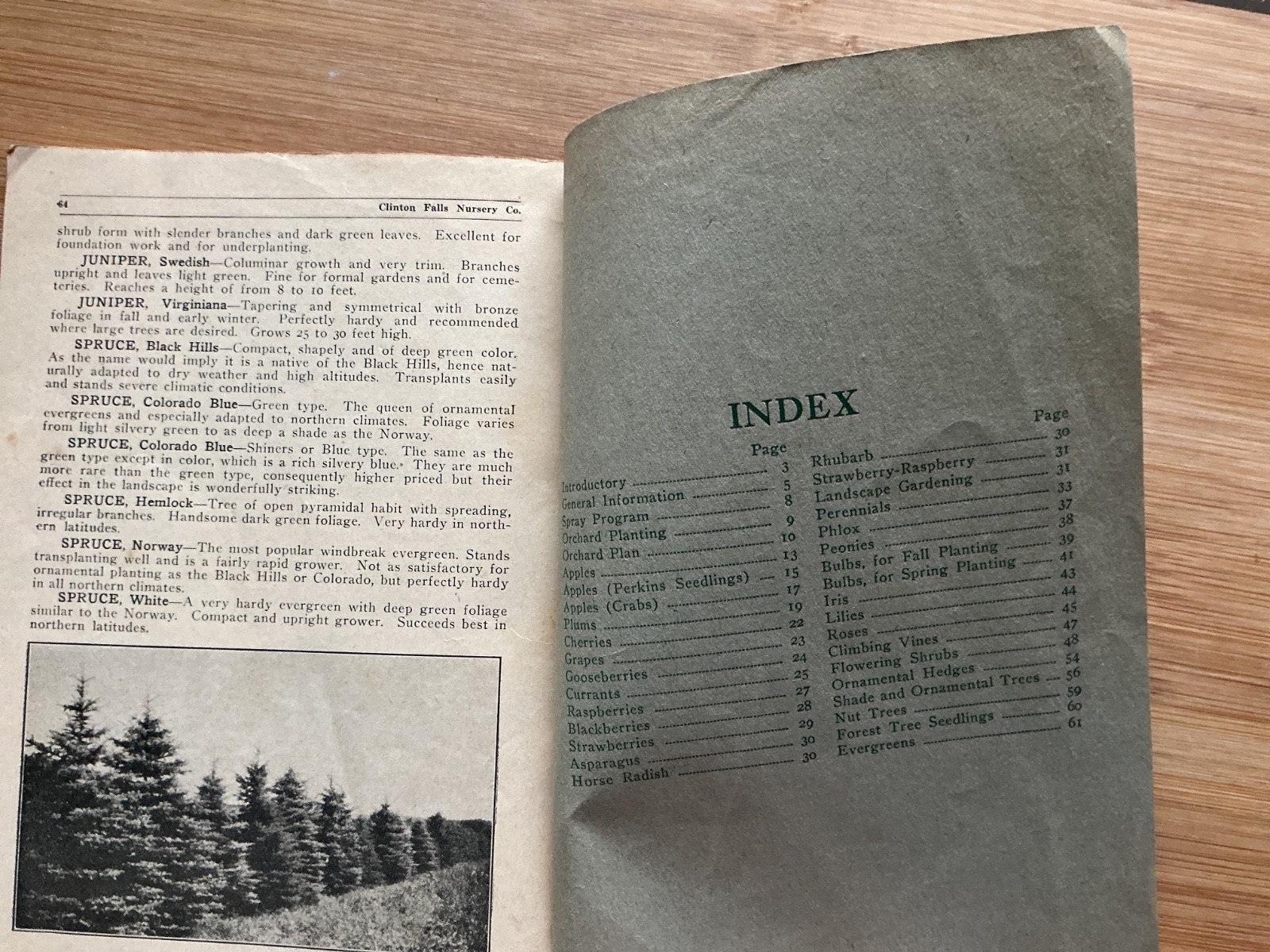 c1910 Owatonna Minnesota, Clinton Falls Nursery Co. Planters Manual