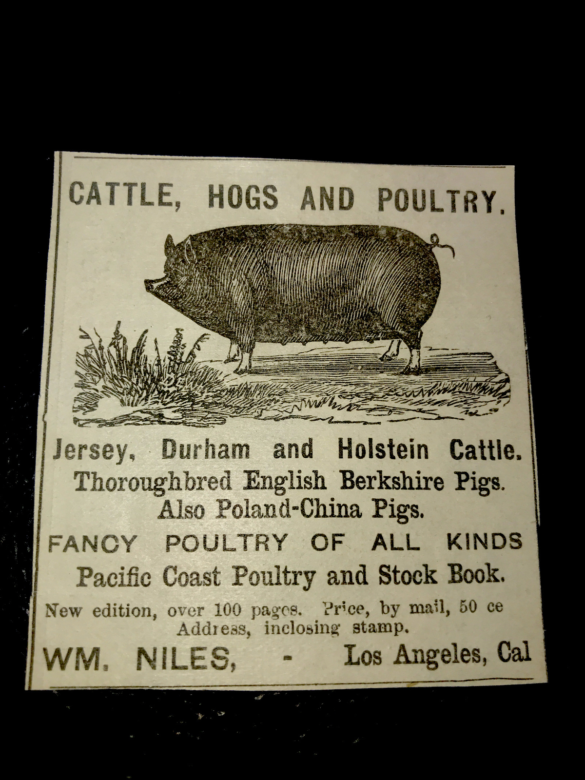 1883 Niles Cattle Hog Poultry Farm Advertising – Los Angeles – California