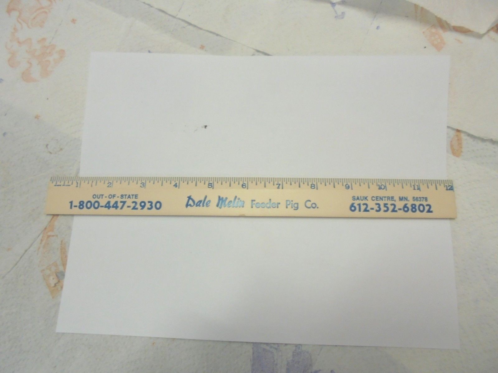 wooden ruler dale merlin feeder pig company sauk centre minnesota reputation