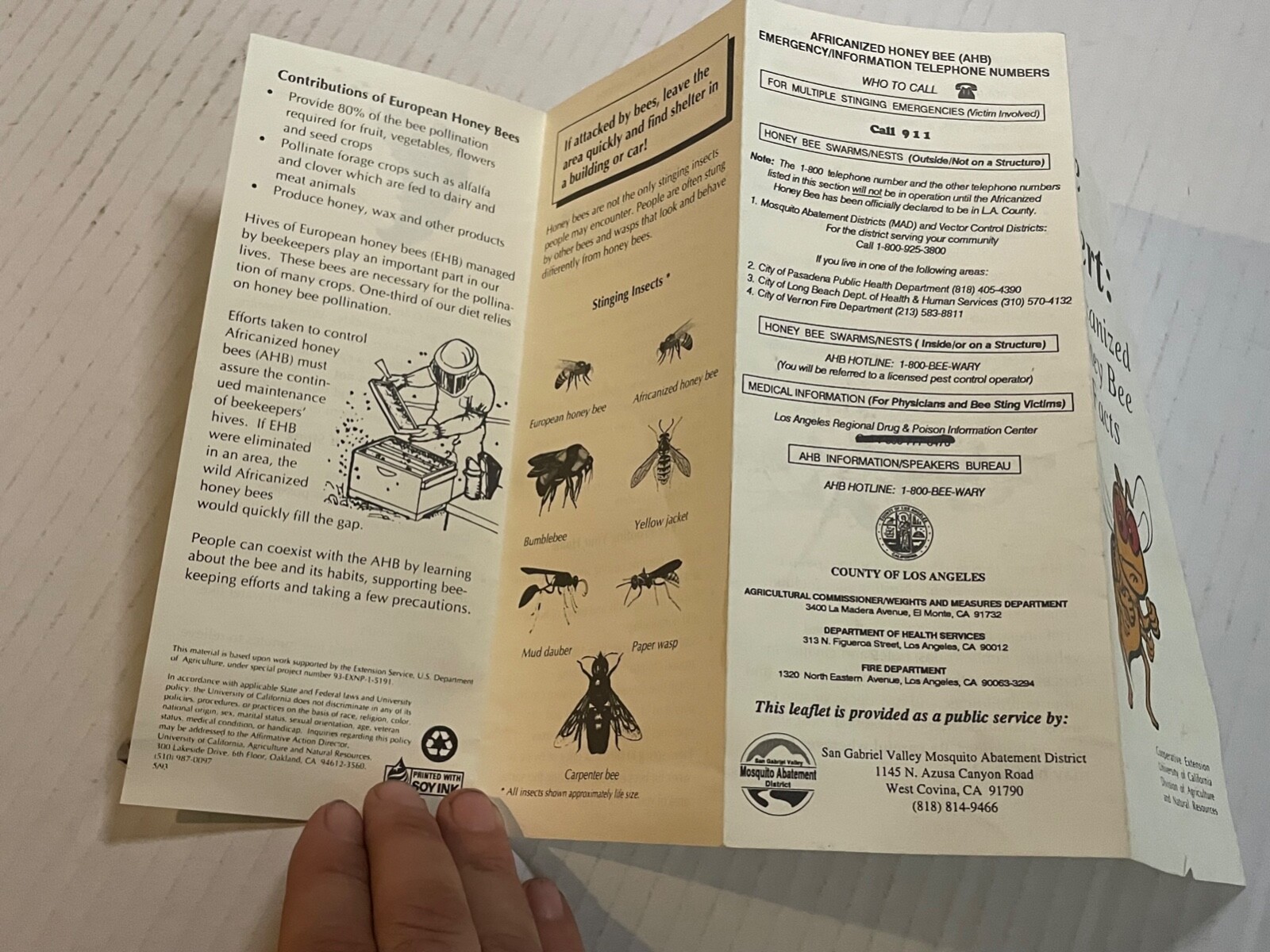 Bee Alert Africanized Honey Bee Facts California Brochure 1993 9×4