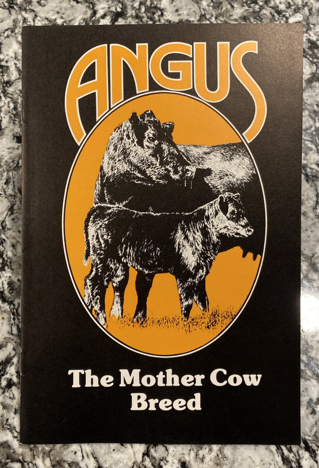 🔴🔵Lot of 4, RARE, Vintage, American Aberdeen Angus Association Pamphlets🔴🔵