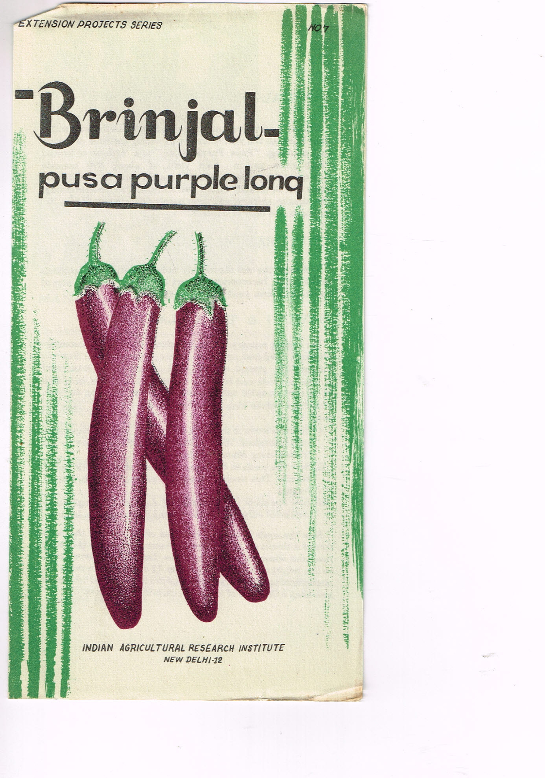 Vintage 1960s Farm Brochure India New Delhi Brinjal Purple Long