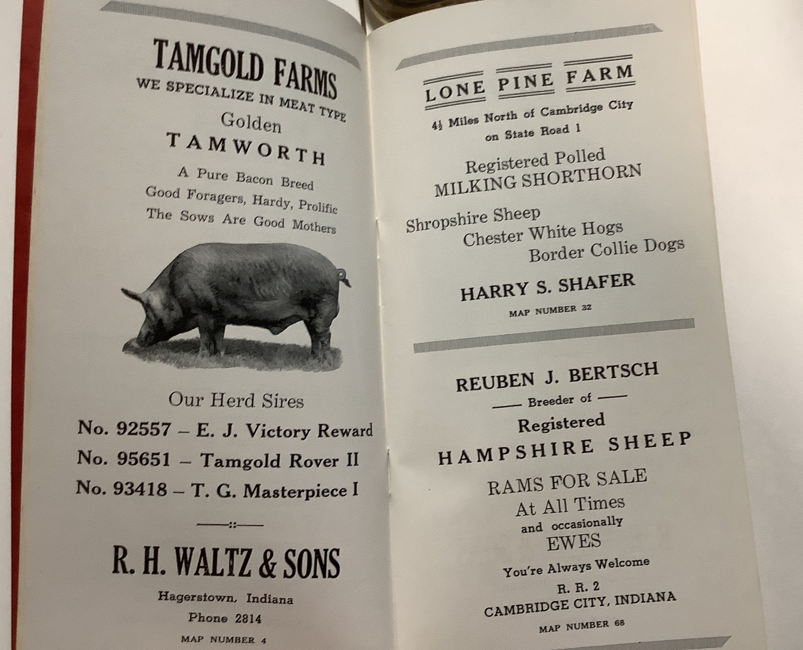 Directory Wayne County Indiana Livestock Breeders Seed Producers 1950-51 1952-53