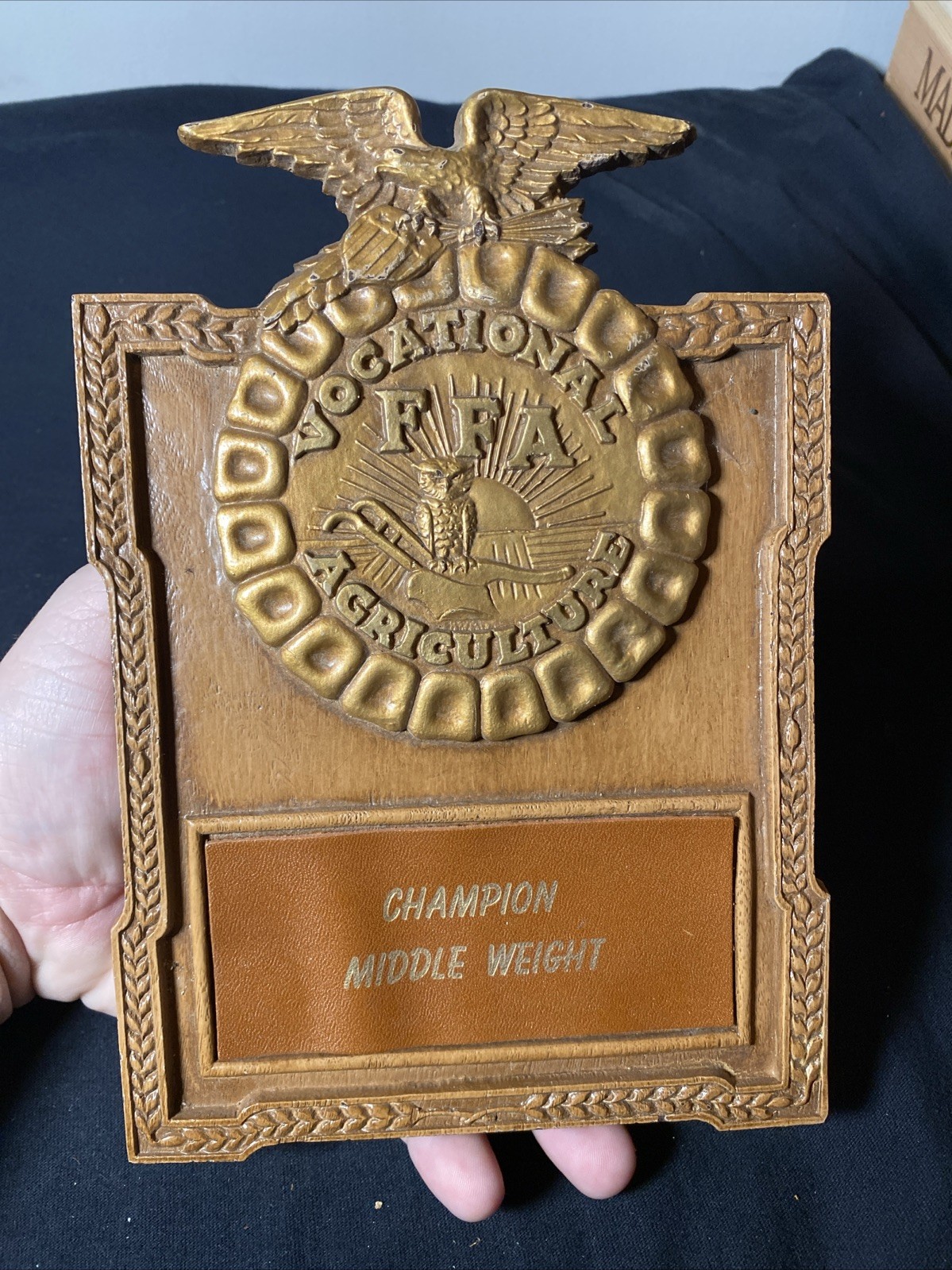 National FFA Chapter Award Program Plaque Vocational Agriculture Rare Champion