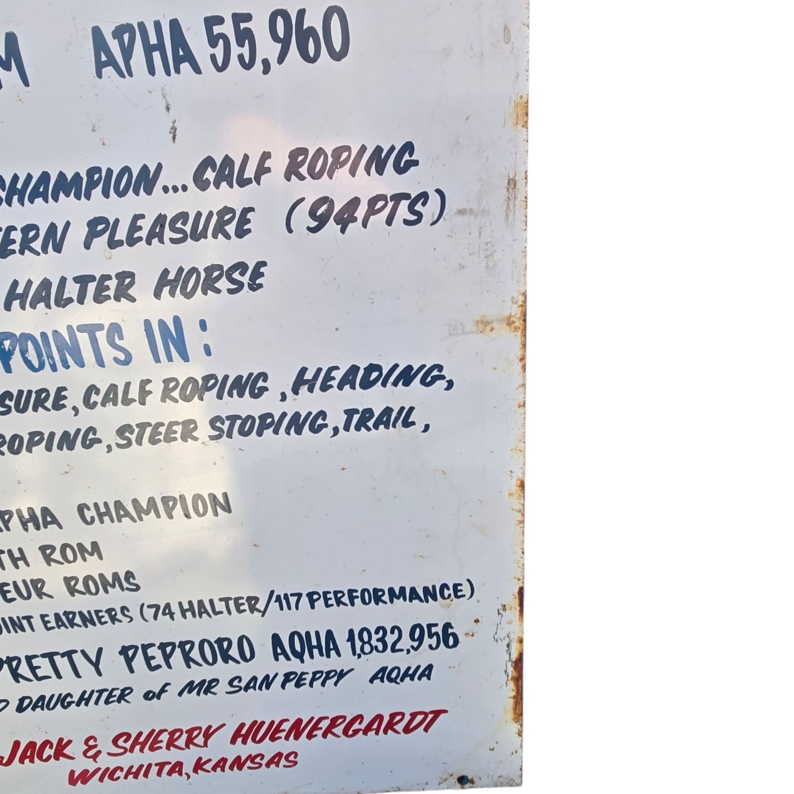 Vintage Paint Horse Farm Breeding Sign Metal 1987 APHA Champion Wichita Kansas