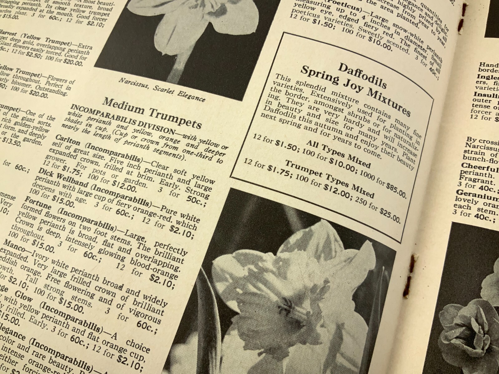 McDonald&rsquo;s Seeds Plants Bulbs Catalogue Fall 1961 Catalog Ottawa Canada EE630