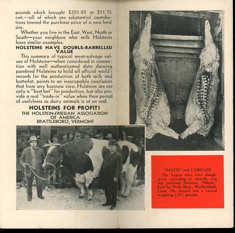 Holstein- Friesian Association of America Born 30 Years to Soon Brochure