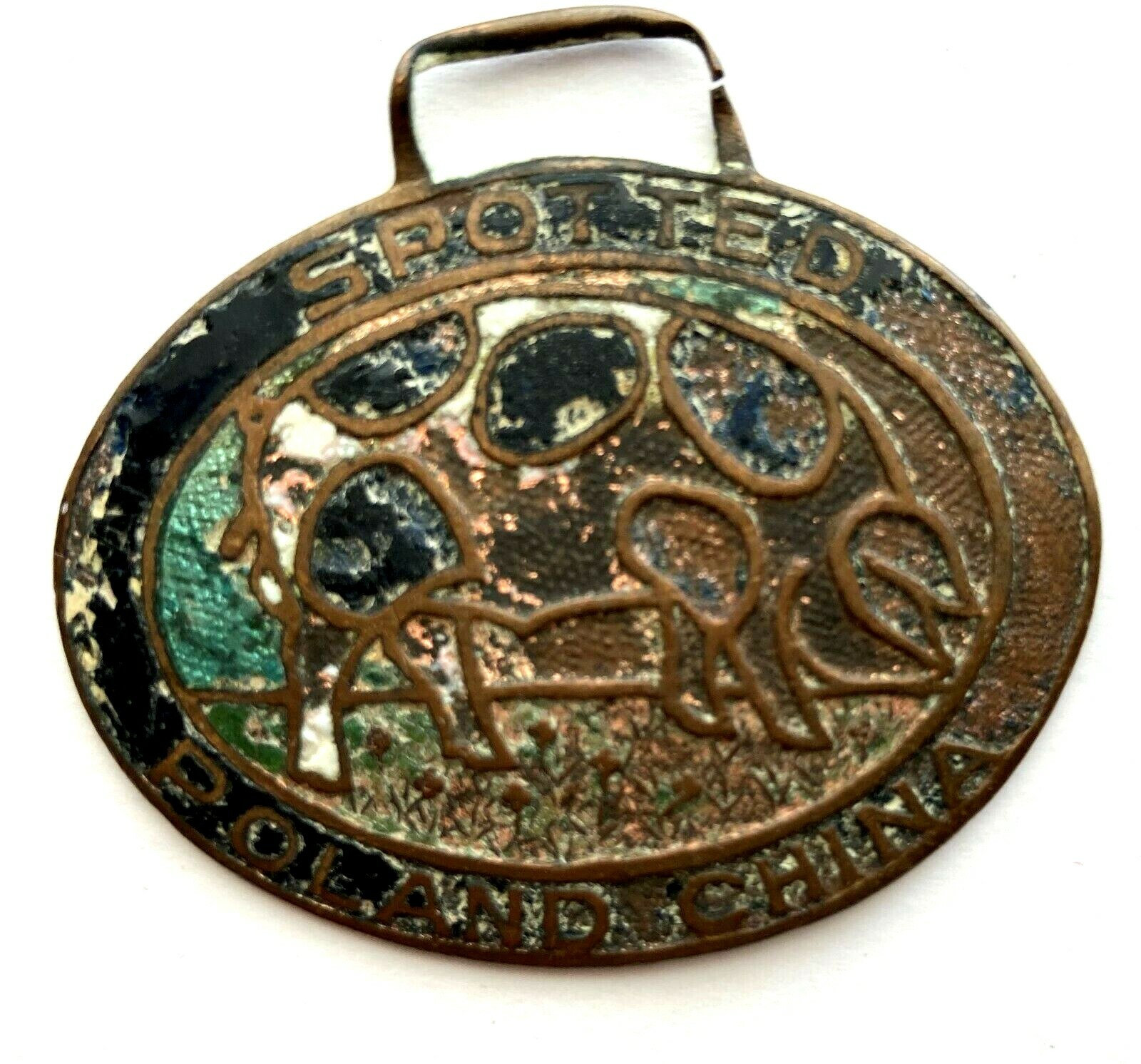 1920 National Spotted Poland China Record Watch Fob, Indianapolis, Indiana